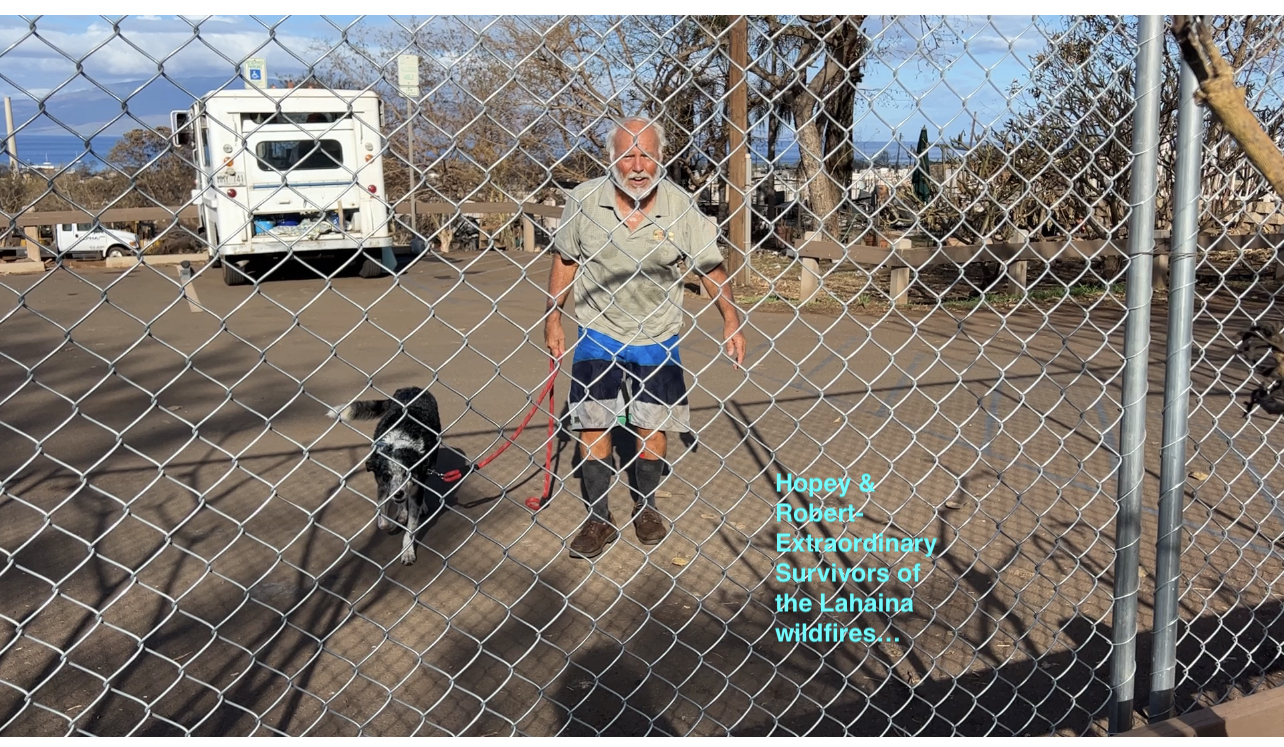Robert Hopey - Extraordinary Survivor of the Lahaina wildfires with his dog Honey