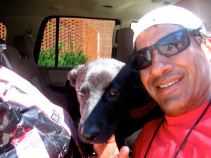 Ruff Rough non-profit dog rescue operations