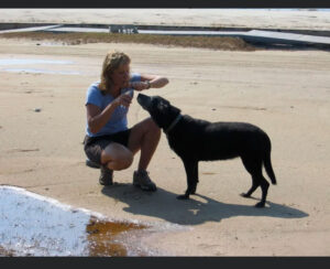 Woman giving a dog some water